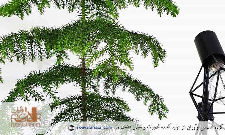 گیاه سرخس برای بالکن های کم نور