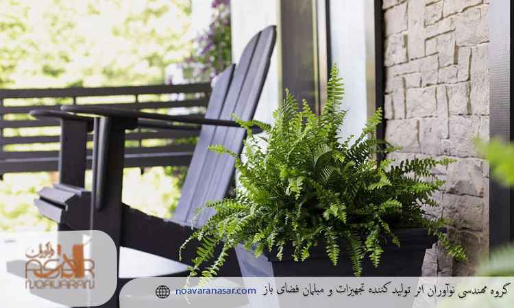 گیاهانی که نور زیادی نمیخواهند