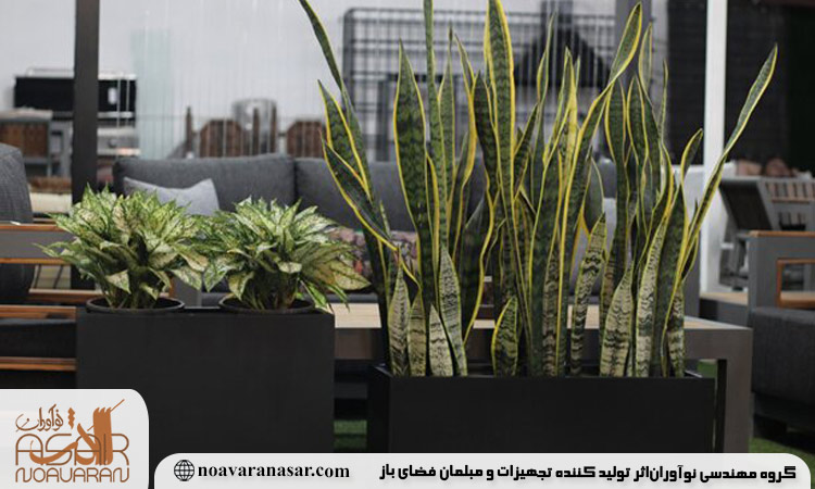 مقایسه فلاورباکس چوبی و فلزی2