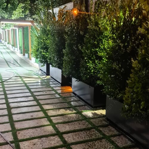 فلاور باکس گالوانیزه 125*40 (4)