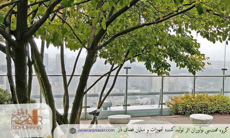 درخت کم ریشه برای پشت بام