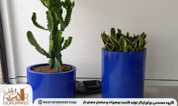 انواع فلاورباکس برای کاکتوس