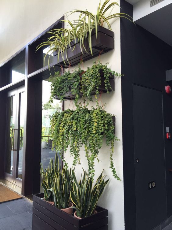 فلاور باکس آپارتمان