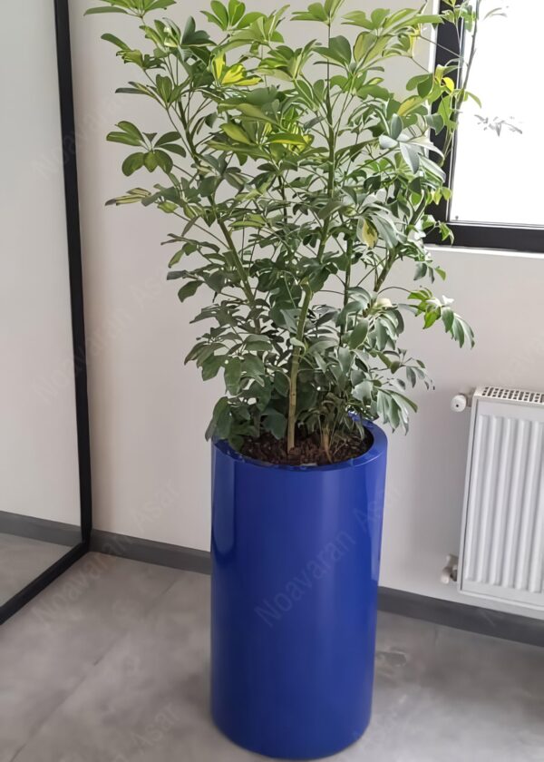 فلاورباکس فلزی استوانه ای (8)