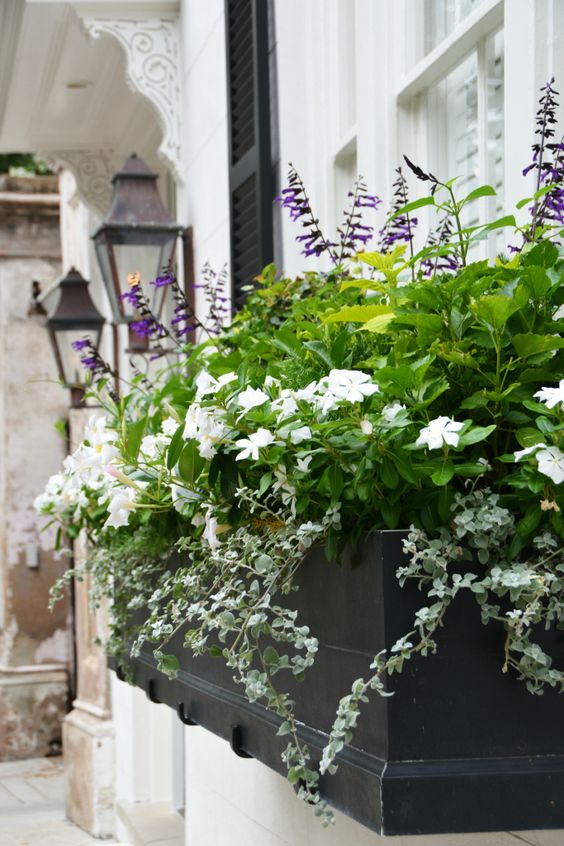 فضاسازی با فلاور باکس