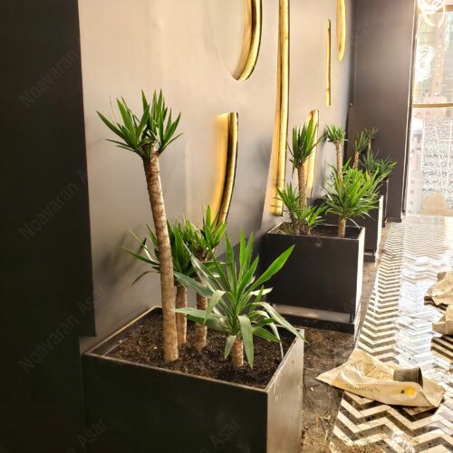 فلاور باکس گالوانیزه 70*70 (2)