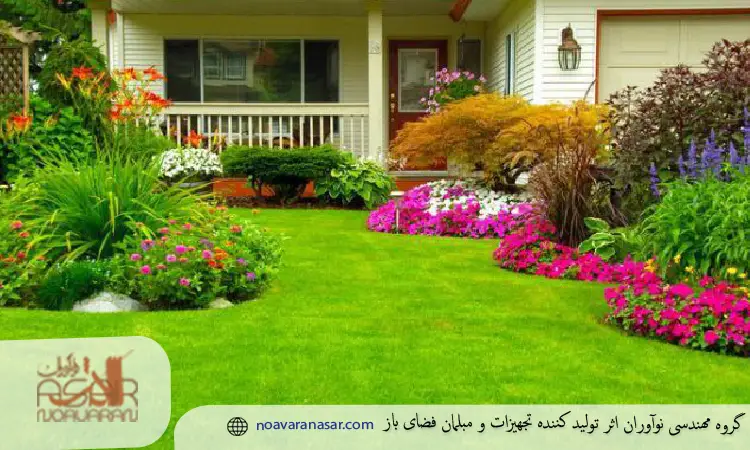 ۱۰ گیاه جایگزین چمن مصنوعی
