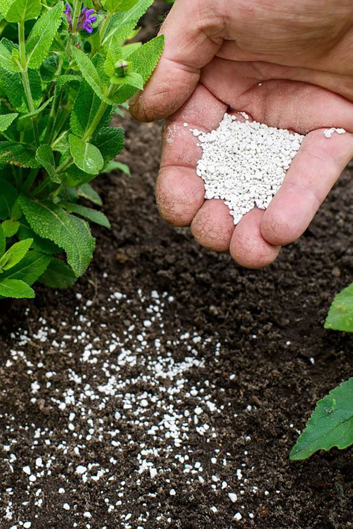 کود دهی به گیاهان فلاور باکس برای تغذیه در زمستان