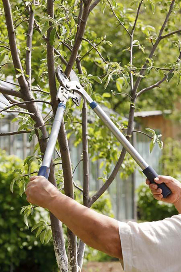آماده سازی فلاور باکس ها برای زمستان