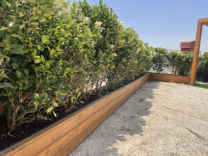 roofgarden-iranshenasi-03