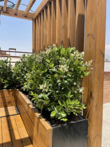 roofgarden-iranshenasi-05
