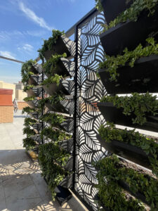 roshana-roof-garden-7