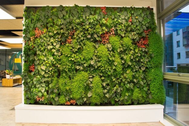 types-of-green-walls-3 انواع دیوار سبز | دیوار مدولار