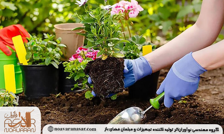 چگونه خاک مناسب برای باغ خود انتخاب کنیم؟