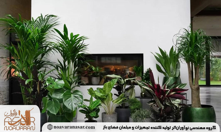 چیدمان گل و گیاه طبیعی برای ایجاد حس تازگی و سرزندگی