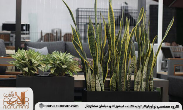 گیاهان مناسب فلاور باکس گیاهان مناسب فلاور باکس