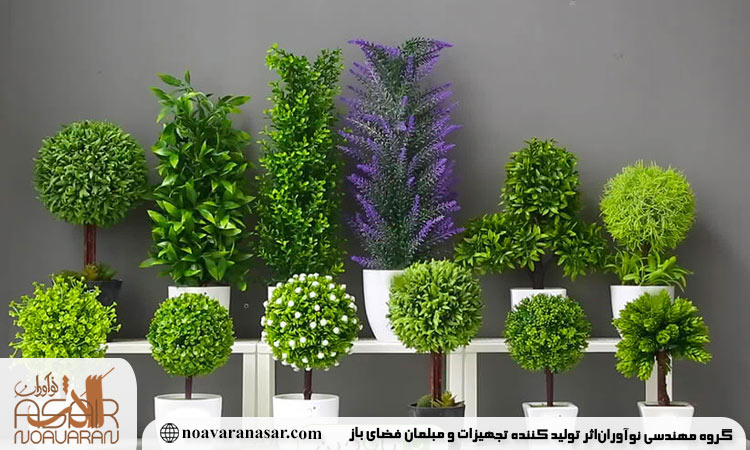 گیاه مقاوم برای فلاور باکس